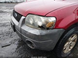 Ford Escape Xlt 1FMYU93145KE31917 снимка