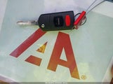 Miniaturka zdjęcia 11