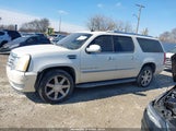 Cadillac Escalade Esv Standard 1GYFK66847R301455 photo