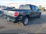 Ford F-150 Fx4/King Ranch/Lariat/Platinum/Xl/Xlt 1FTPW14V09FB20867 fotografie