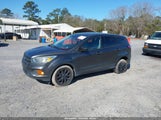 Ford Escape S 1FMCU0F7XHUD67770 fotografie