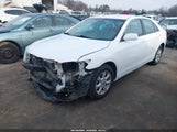 Miniaturka zdjęcia 2
