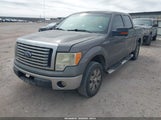 Ford F-150 Fx2 Sport/Xl/Xlt 1FTEW1C83AKA65894 photo