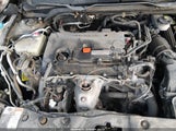 Honda Civic Lx 2HGFC2F53JH588667 снимка