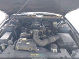 Ford Mustang V6 1ZVFT84N565114249 снимка