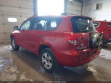 Toyota Rav4 Base V6 JTMBK33V285041255 снимка