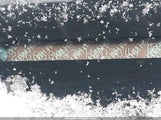 Honda Civic Ex 2HGFG3B87FH507347 снимка