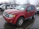 Ford Escape Xlt 1FMCU93779KB26593 снимка