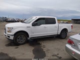 Ford F-150 Xlt 1FTEW1EP4HKD72585 снимка