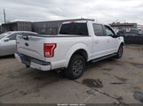Ford F-150 Xlt 1FTEW1EP4HKD72585 снимка