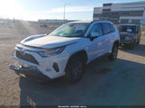 Toyota Rav4 Hybrid Le 2T3MWRFV2RW244166 fotografie