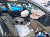 Miniaturka zdjęcia 5