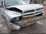 Dodge Dakota 1D7FL16XX3S159974 fotografie