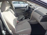 Toyota Corolla Le 2T1BU4EE5DC954554 fotografie