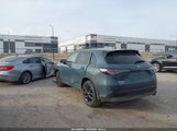 Miniaturka zdjęcia 3