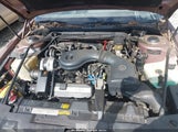 Cadillac Eldorado 1G6EL1152KU614639 снимка