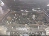 Miniaturka zdjęcia 10