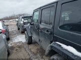 Jeep Wrangler Unlimited Backcountry 1C4BJWEG0GL250684 fotografie
