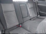 Miniaturka zdjęcia 8