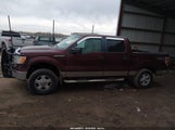 Ford F-150 Fx4/King Ranch/Lariat/Platinum/Xl/Xlt 1FTPW14VX9KC22345 снимка