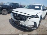 Miniaturka zdjęcia 6