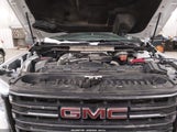 GMC Sierra 3500Hd 4Wd Standard Bed At4 1GT49VEY5LF149413 снимка