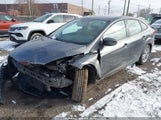 Miniaturka zdjęcia 2