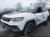 Jeep Compass Trailhawk 4X4 3C4NJDDN3RT610667 снимка