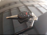 Miniaturka zdjęcia 11