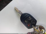 Miniaturka zdjęcia 11