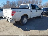 Ford F-150 Xlt 1FTFW1EF0BKD52076 снимка