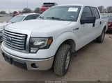 Ford F-150 Xlt 1FTEW1CM2DKE16800 снимка