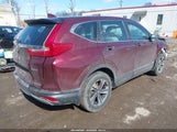 Miniaturka zdjęcia 4