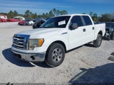 Ford F-150 Fx2 Sport/Harley-Davidson/King Ranch/Lariat/Platinum/Xl/Xlt 1FTFW1CV3AFA14818 photo