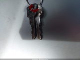 Miniaturka zdjęcia 11