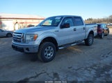 Ford F-150 Fx4/King Ranch/Lariat/Platinum/Xl/Xlt 1FTPW14V59FA39525 photo