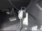 Miniaturka zdjęcia 11
