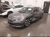Honda Accord Ex-L 1HGCR2F95GA246312 photo