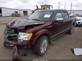 Ford F-150 King Ranch/Lariat/Platinum/Xl/Xlt 1FTPW12V59FB28059 fotografie