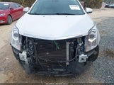 Cadillac Srx Luxury Collection 3GYFNBE32GS506310 photo