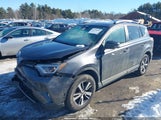 Toyota Rav4 Xle JTMRFREV4HJ168115 снимка