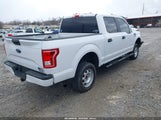 Ford F-150 Xl 1FTEW1CP8HKD82801 снимка