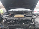 Ford F-150 Xlt 1FTEW1EP1FKE31895 снимка