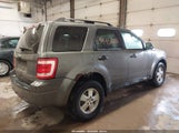 Miniaturka zdjęcia 4