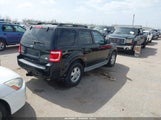 Ford Escape Xlt 1FMCU0DG6AKB64766 снимка