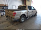 Ford F-150 Xlt 1FTFW1ET5DKE05038 снимка