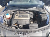 Miniaturka zdjęcia 10