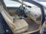 Miniaturka zdjęcia 5