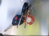 Miniaturka zdjęcia 11