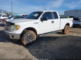 Ford F-150 Fx4/Lariat/Xl/Xlt 1FTFX1EV7AKE41422 photo